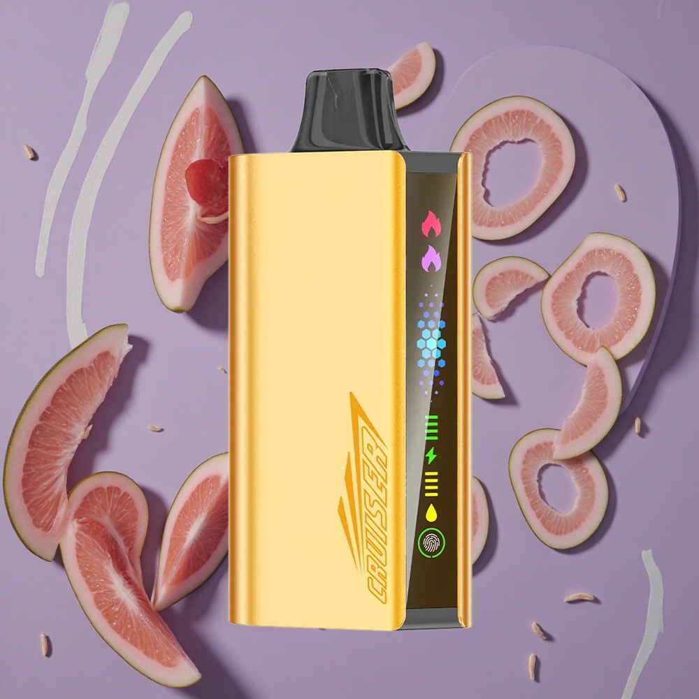 JNR Cruiser 12000 Puffs Koel Munt 25ml E-liquid 1.2ohm Dual Mesh Coil