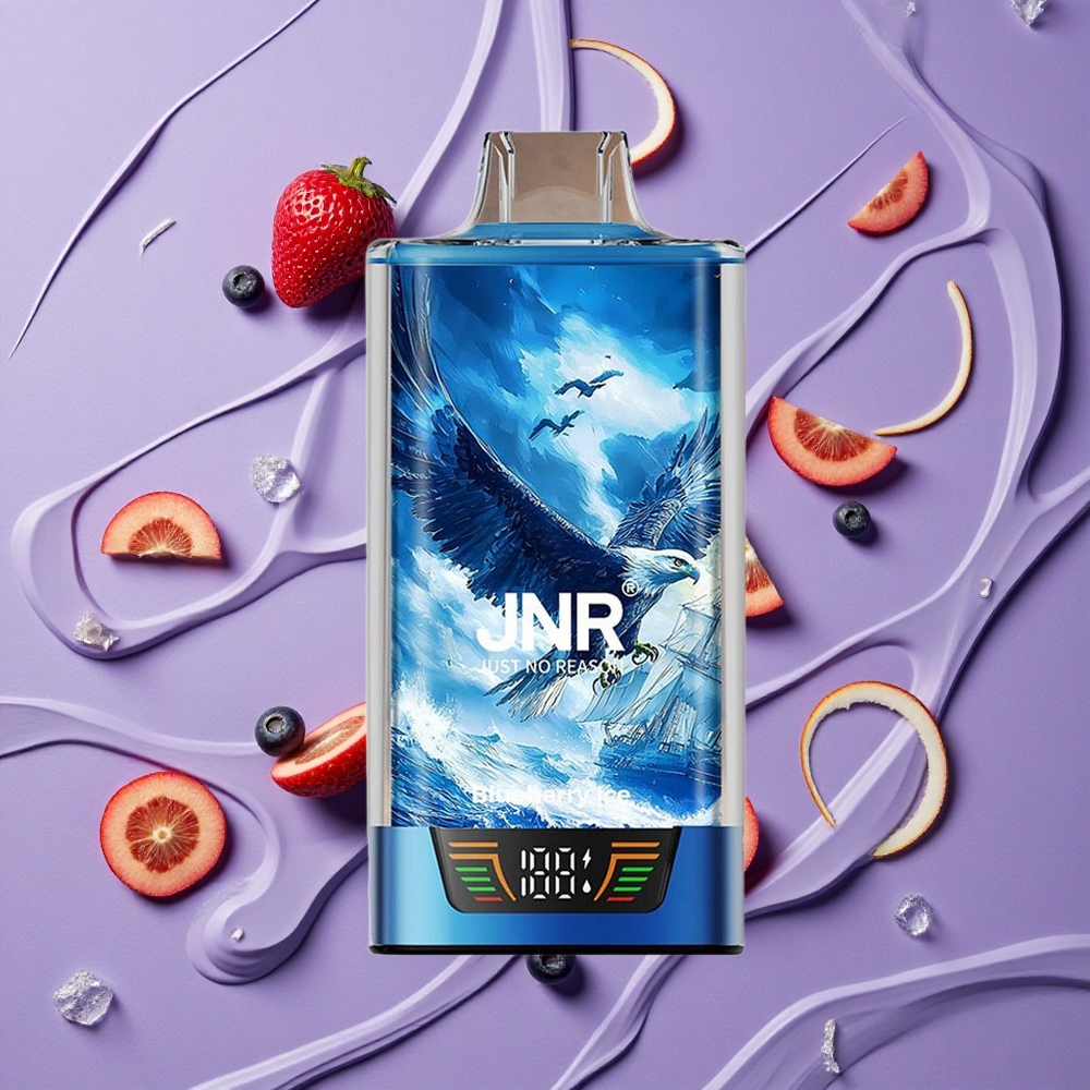 JNR Falcon Pro 28000 30ml Bosbes Ijs Wegwerp Vape