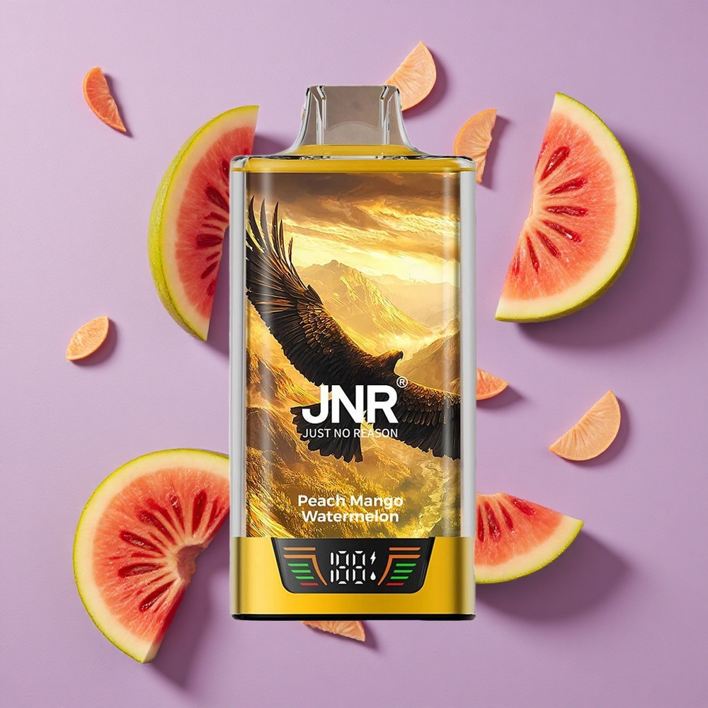 JNR Falcon Pro 28000 Perzik Mango Watermeloen 30ml 950mAh