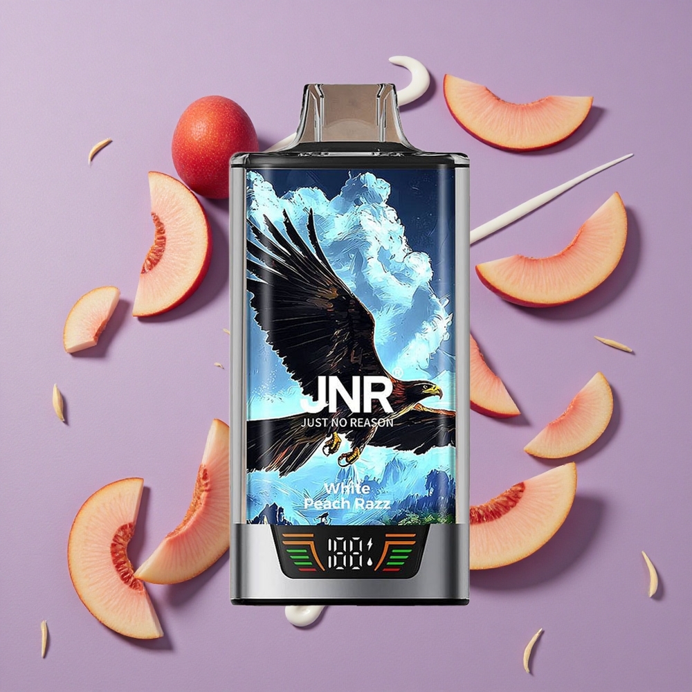 JNR Falcon Pro 28000 Wit Perzik Razz Wegwerp Vape met 30ml Voorgevuld en 950mAh Batterij