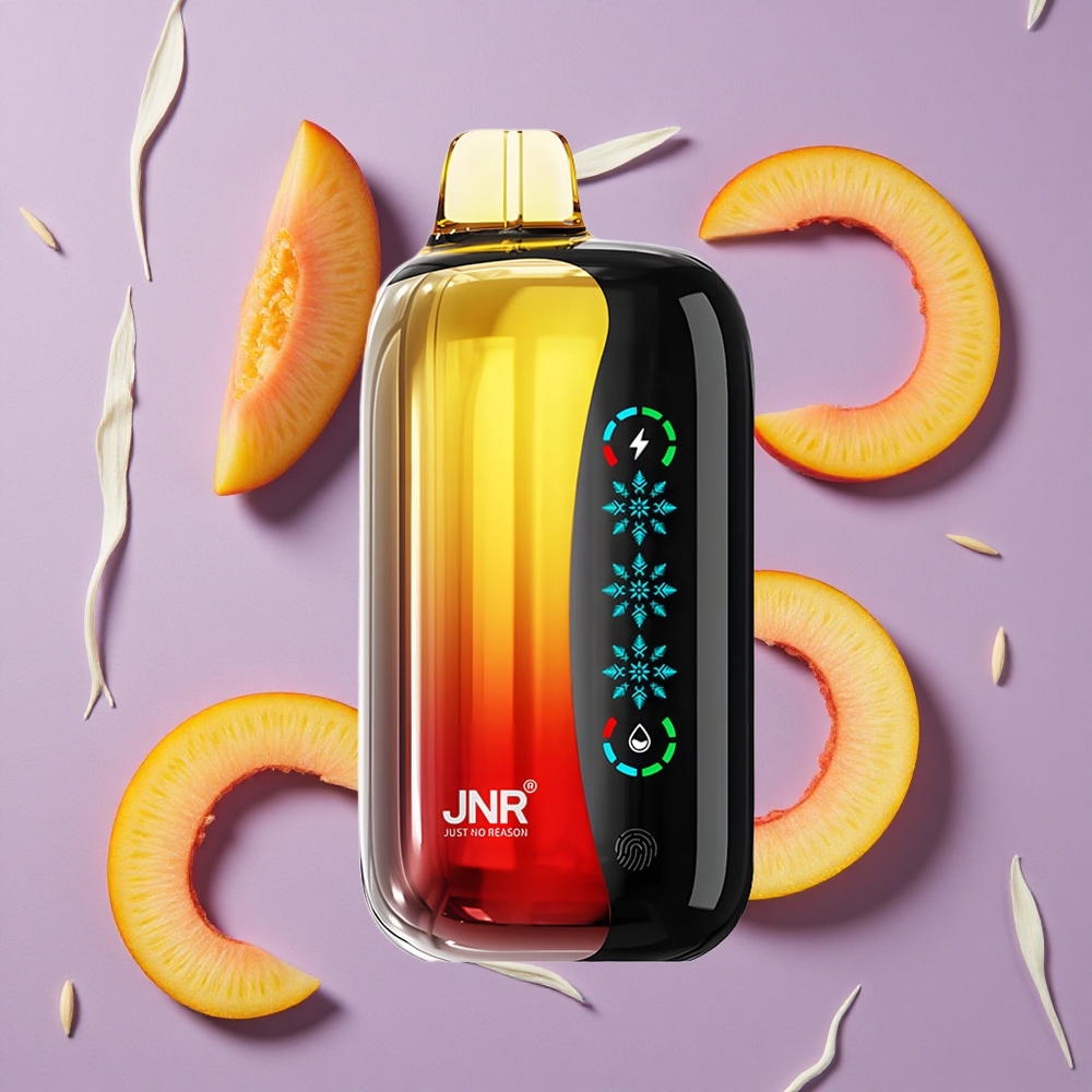 JNR Flex Ice 21000 Puffs Perzik Mango Ananas Aanpasbare IJs & Aanpasbare Luchtstroom