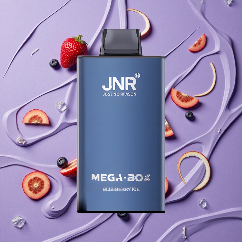 JNR Mega Box 25000 Puffs Blauwe Bes IJs & Dual Mesh Coil