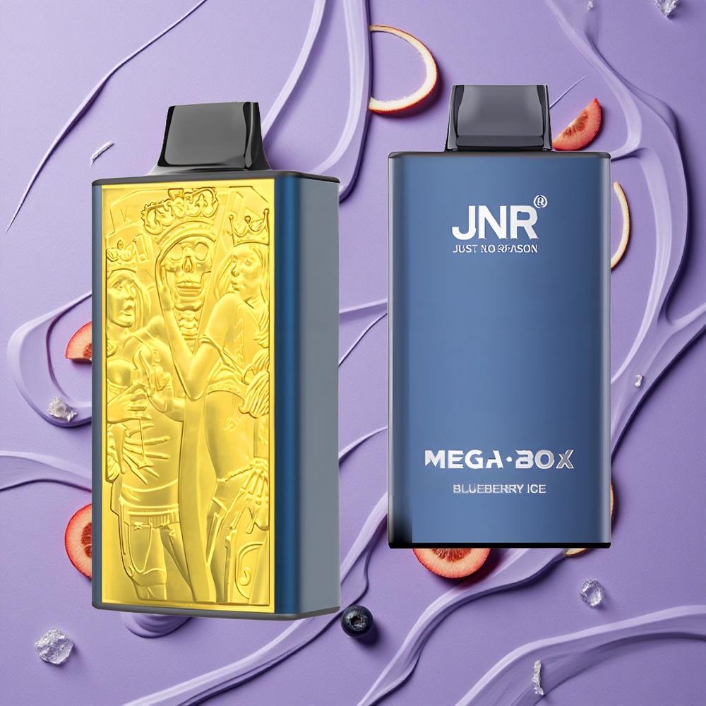 JNR Mega Box 25000 Puffs Blauwe Bes IJs & Dual Mesh Coil