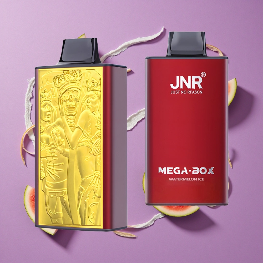 JNR Mega Box 25000 Puffs Watermeloen IJs 30ml & Dual Mesh