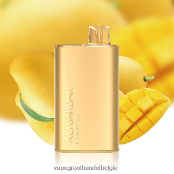 Crystal Vape Groothandel Belgie - Alibarbar Rich 8000 wegwerpdamp mango-magie 4R2F487