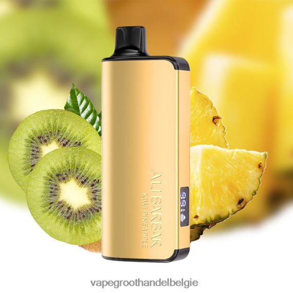 Elektronische Sigaret Wegwerp - Alibarbar Ingot 20000 wegwerpdamp kiwi-ananas 4R2F4838