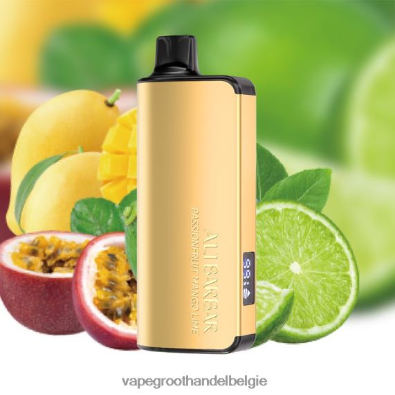 Elektronische Sigaret Winkel - Alibarbar Ingot 20000 wegwerpdamp passievrucht-mango-limoen 4R2F4839