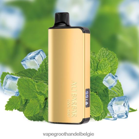 Vape Groothandel Elf Bar - Alibarbar Ingot 20000 wegwerpdamp koele munt 4R2F4835