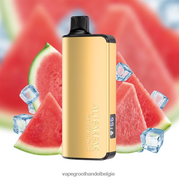 Groothandel Vape Wegwerp - Alibarbar Ingot 9000 wegwerpdamp watermeloen ijs 4R2F4826