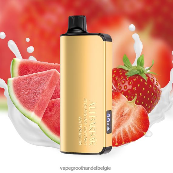 Vape Groothandel België - Alibarbar Ingot 9000 wegwerpdamp aardbei-kokos-watermeloen 4R2F4824