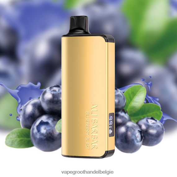 Vape Groothandel Elf Bar - Alibarbar Ingot 9000 wegwerpdamp bosbessen explosie 4R2F4815