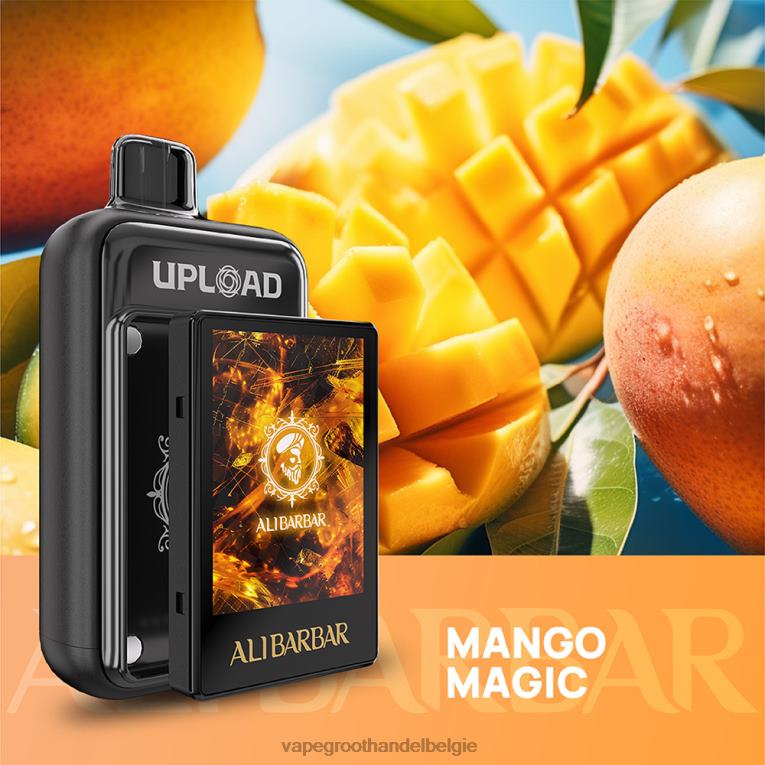 mango-magie