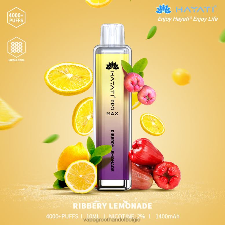 bosbessenlimonade - groothandel vape wegwerp 0284V171 Hayati Pro Max 4000