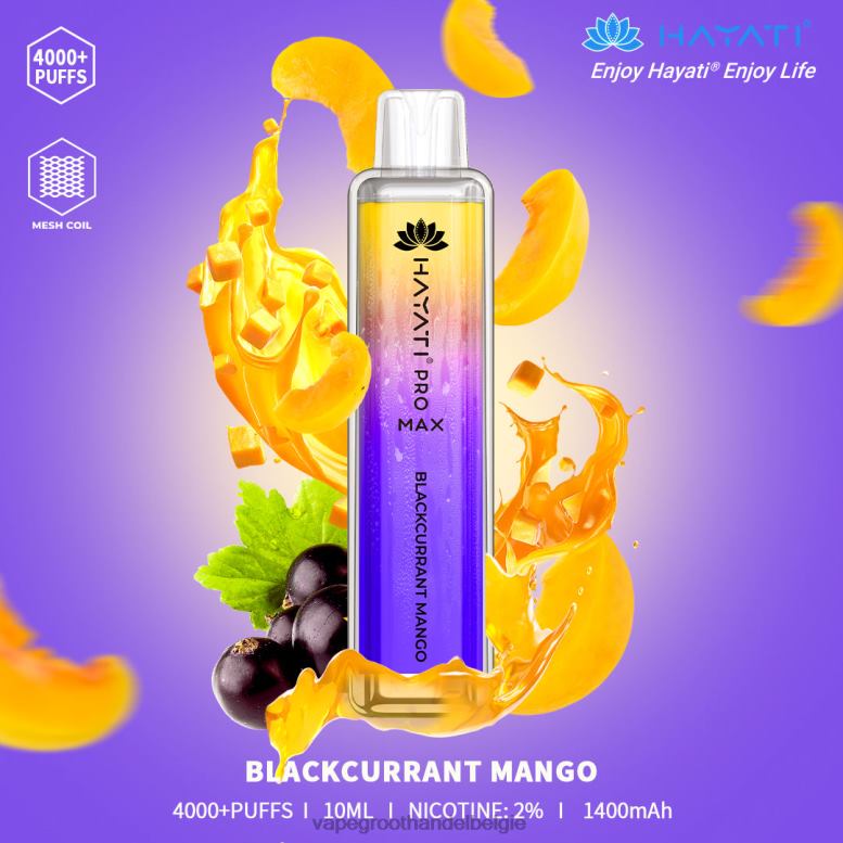 zwarte bessen-mango