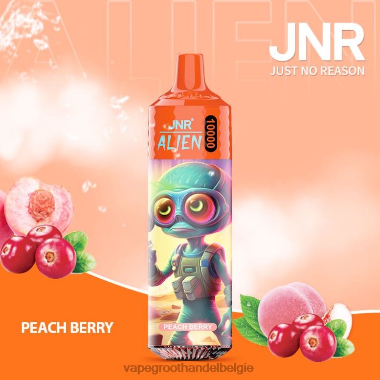 perzik bes - vape groothandel België 0284V655 JNR ALIEN