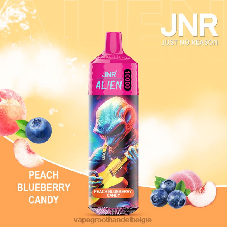 perzik bosbessen snoep - vape groothandel elf bar 0284V656 JNR ALIEN