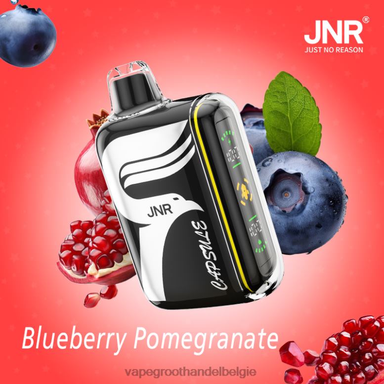 bosbessen-granaatappel - groothandel vape wegwerp 0284V601 JNR CAPSULE