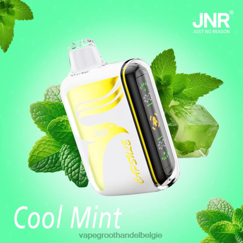 frisse munt - vape groothandel inkoop 0284V604 JNR CAPSULE
