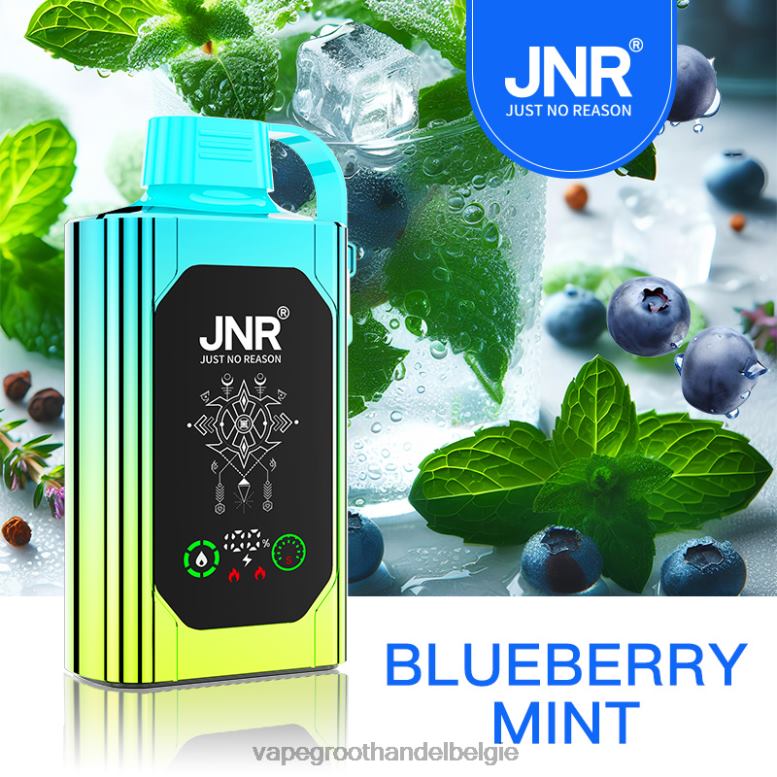 bosbessen munt - elektronische sigaret winkel 0284V618 JNR SHISHA BOX