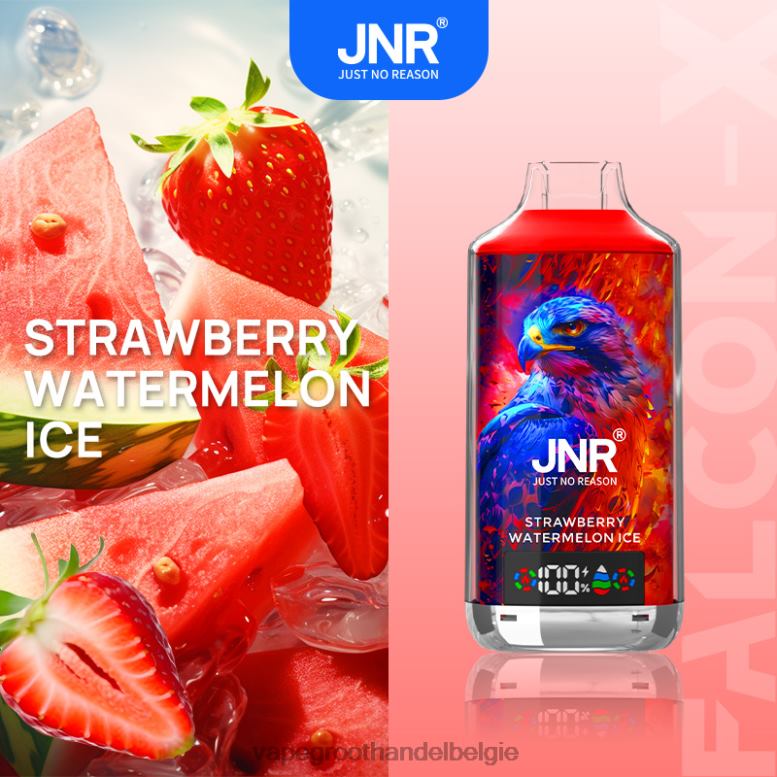 aardbei watermeloen ijs