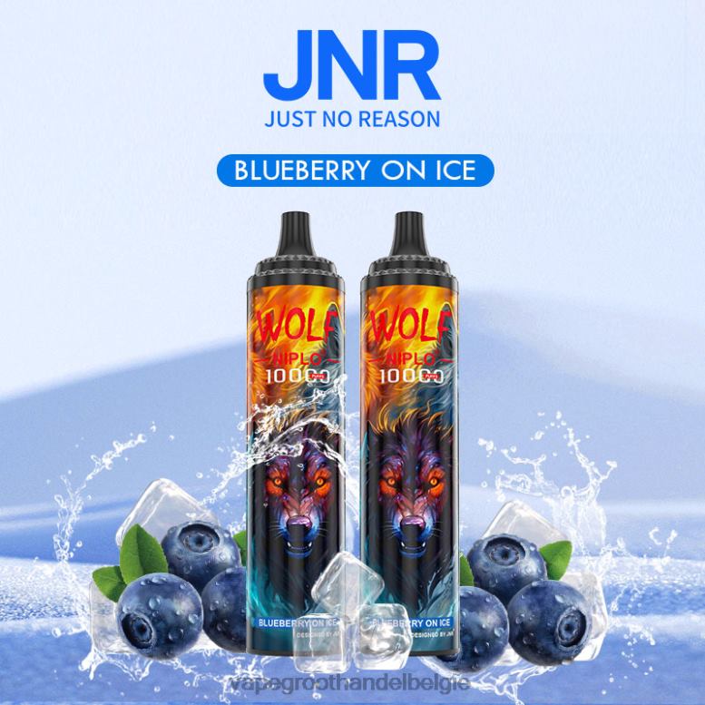 bosbessen op ijs - groothandel vape wegwerp 0284V761 JNR WOLF NIPLO
