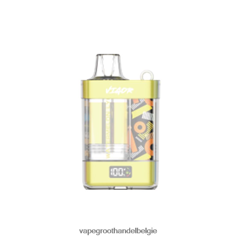 Dampen Belgie - LAVIE VIGOR 15000 trekjes watermeloen lychee F20N4211