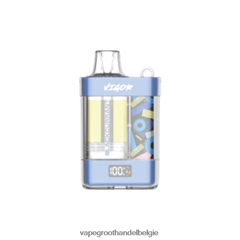 Elektronische Sigaret Winkel - LAVIE VIGOR 15000 trekjes zwarte bes F20N429