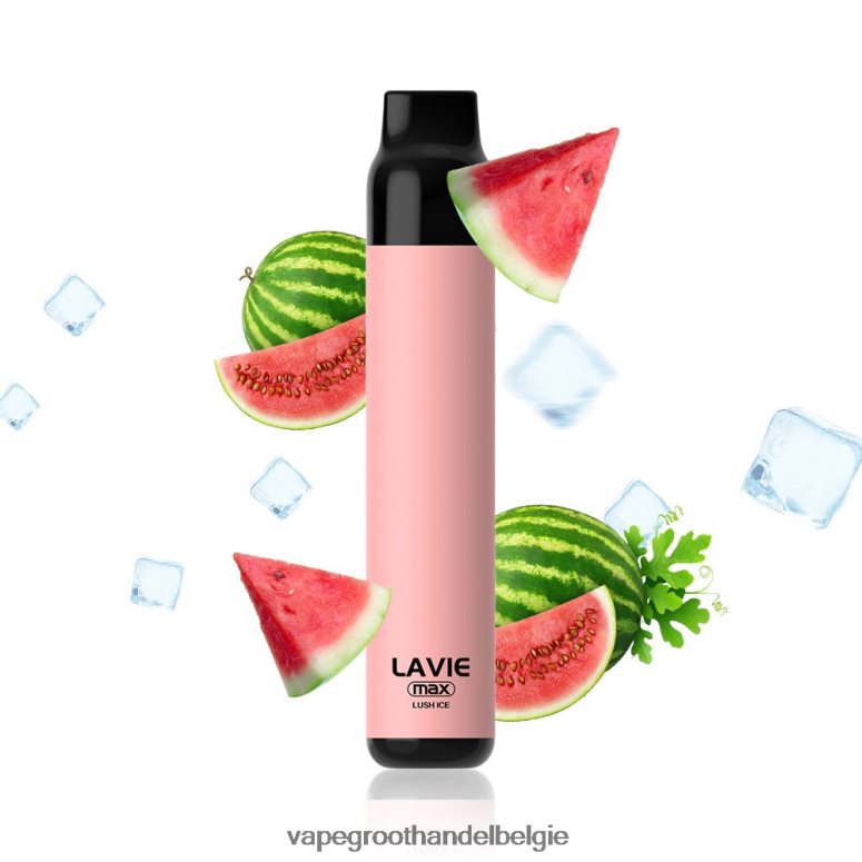 Crystal Vape Groothandel Belgie - LAVIE BAR 5000 trekjes - max weelderig ijs F20N42277