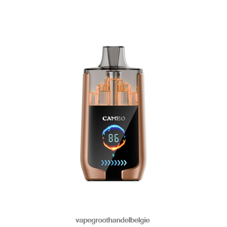 Elektronische Sigaret Wegwerp - LAVIE CAMEO 30.000 trekjes koffie ijs F20N4218
