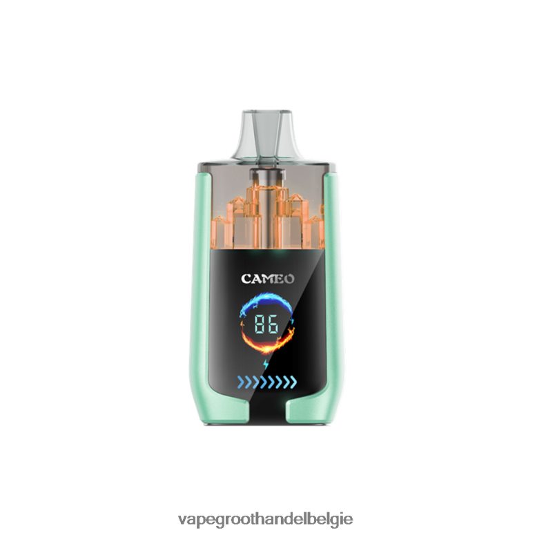 Elektronische Sigaret Zonder Nicotine - LAVIE CAMEO 30.000 trekjes dubbele appel F20N4220