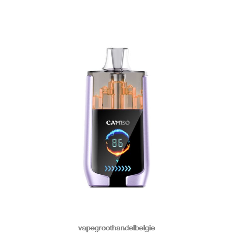 Groothandel Vape Wegwerp - LAVIE CAMEO 30.000 trekjes druiven ijs F20N4216