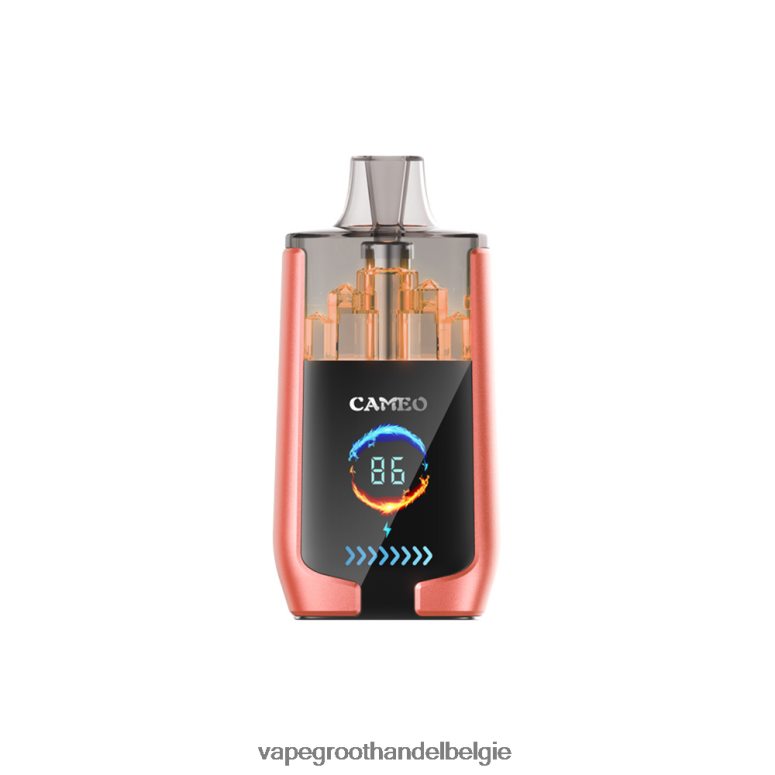 Vape Groothandel België - LAVIE CAMEO 30.000 trekjes aardbei watermeloen F20N4224