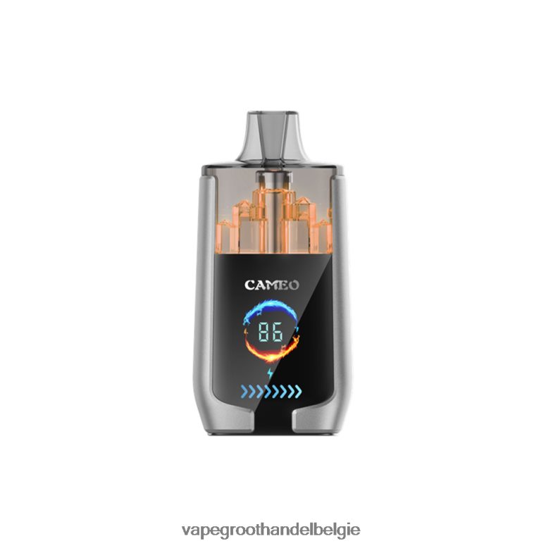 Vape Groothandel Elf Bar - LAVIE CAMEO 30.000 trekjes bosbessen ijs F20N4215
