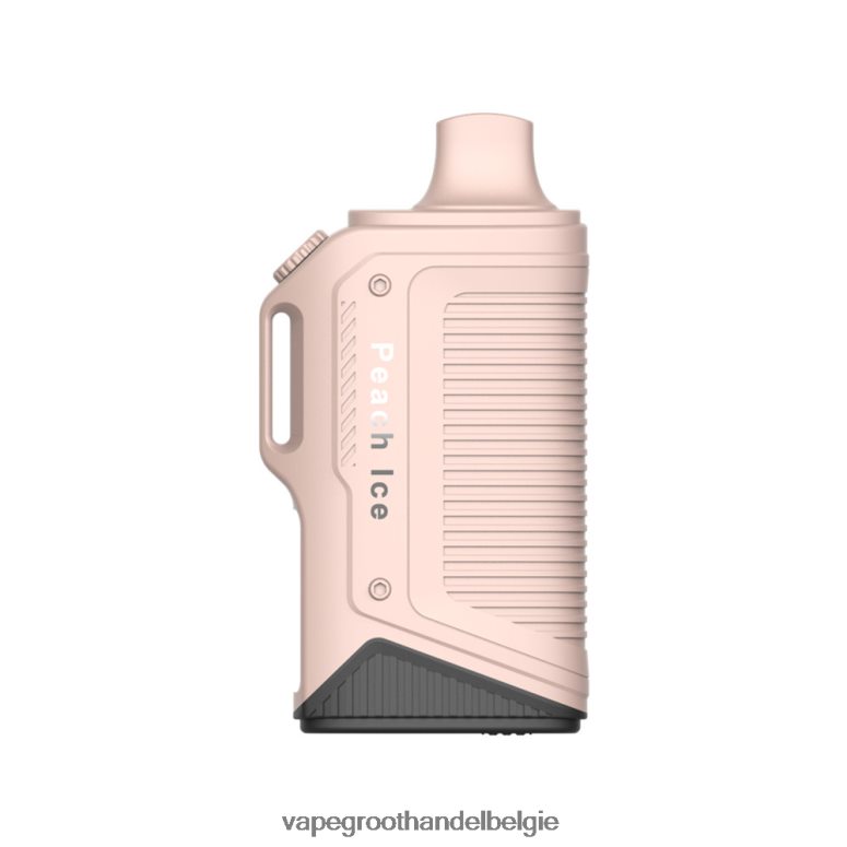 Elektronische Sigaret Winkel - LAVIE Energy Box 15000 trekjes perzik ijs F20N4279