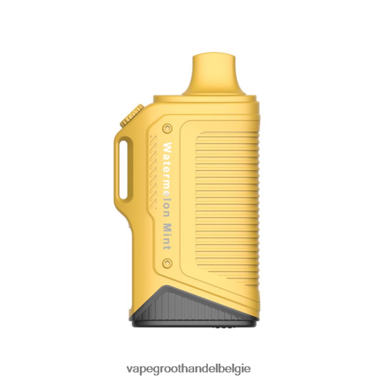 Elektronische Sigaret Zonder Nicotine - LAVIE Energy Box 15000 trekjes watermeloen munt F20N4270