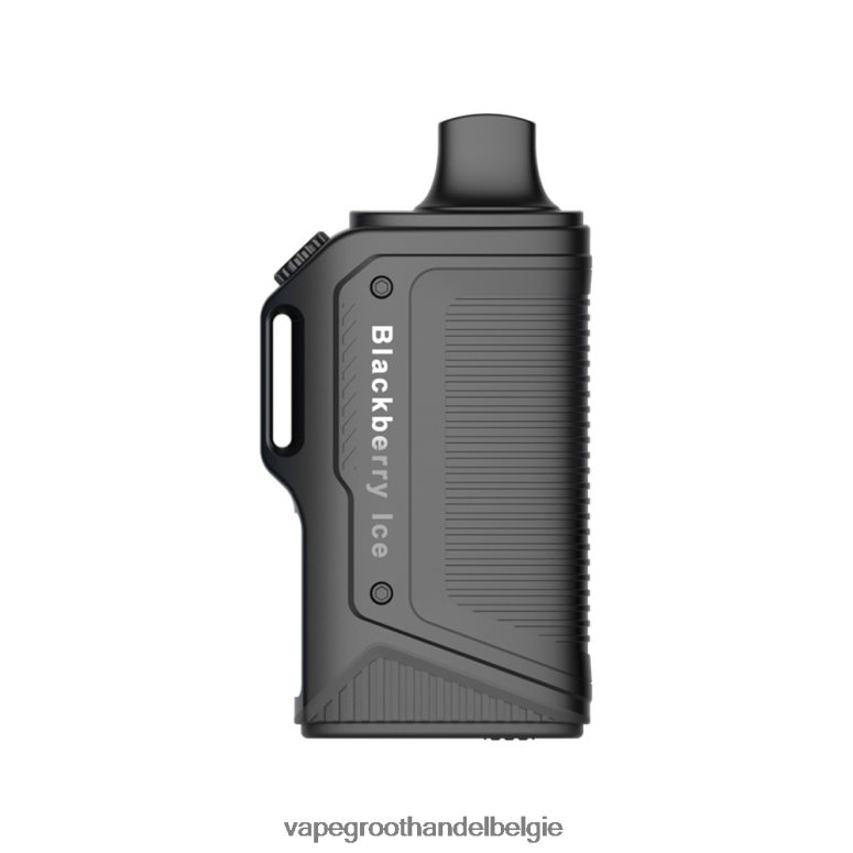 Vape Groothandel Inkoop - LAVIE Energy Box 15000 trekjes bramen ijs F20N4273