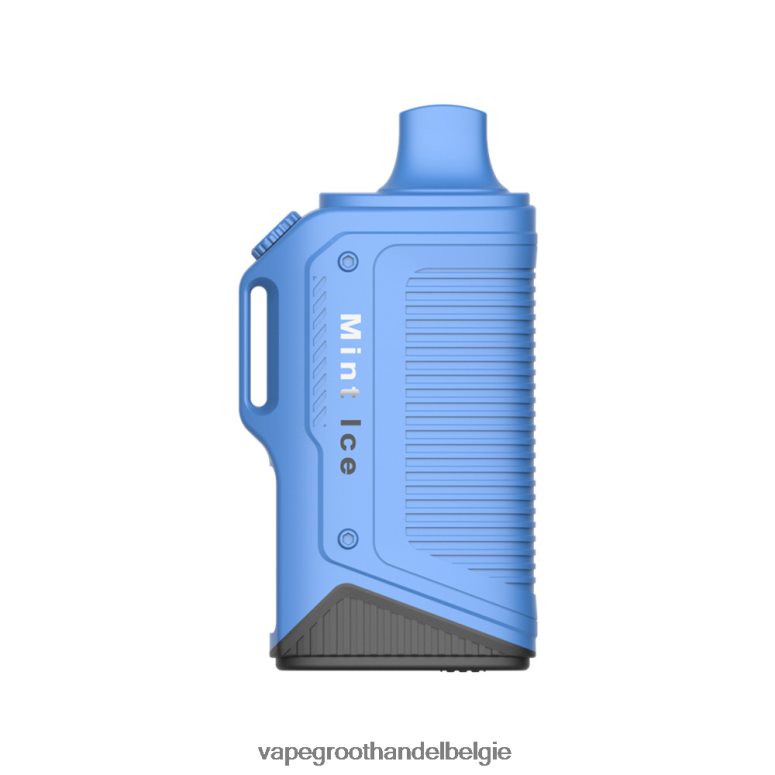 Vape Groothandel - LAVIE Energy Box 15000 trekjes munt ijs F20N4272