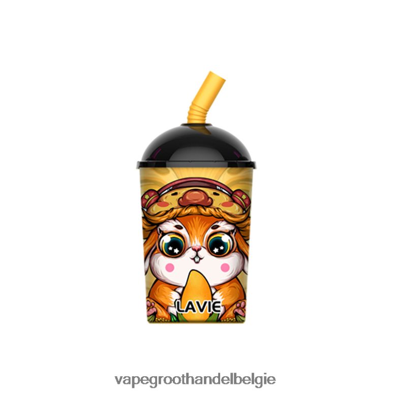 mango-ijs