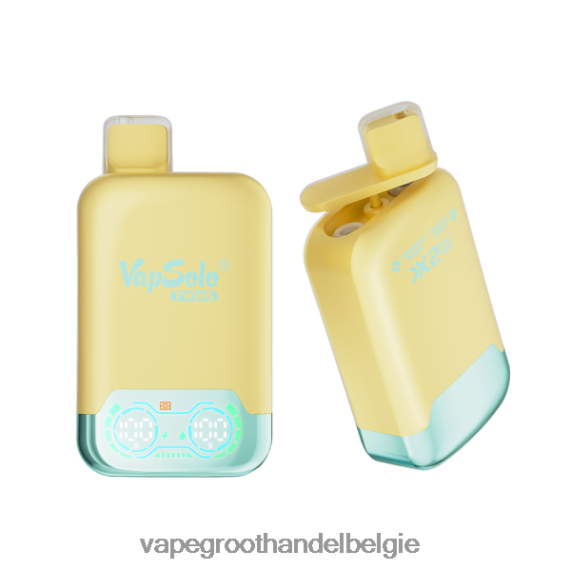 Vape Groothandel Elf Bar - Vapsolo TWINS wegwerp damp ananas-kokosnoot & aardbei-banaan 4R2F48125