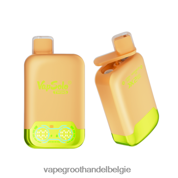 Vape Groothandel Inkoop - Vapsolo TWINS wegwerp damp citroen-limoen- en watermeloenijs 4R2F48123