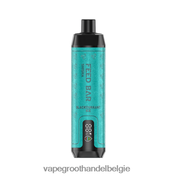 Groothandel Vape Wegwerp - Vapsolo SHISHA wegwerp damp zwarte bessen ijs 4R2F4896
