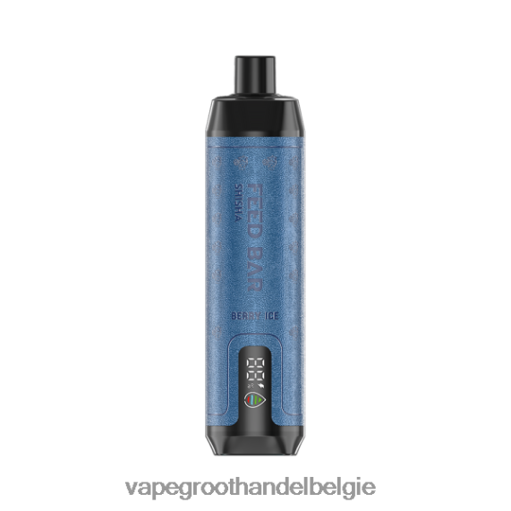 Vape Groothandel Elf Bar - Vapsolo SHISHA wegwerp damp bessen ijs 4R2F4895