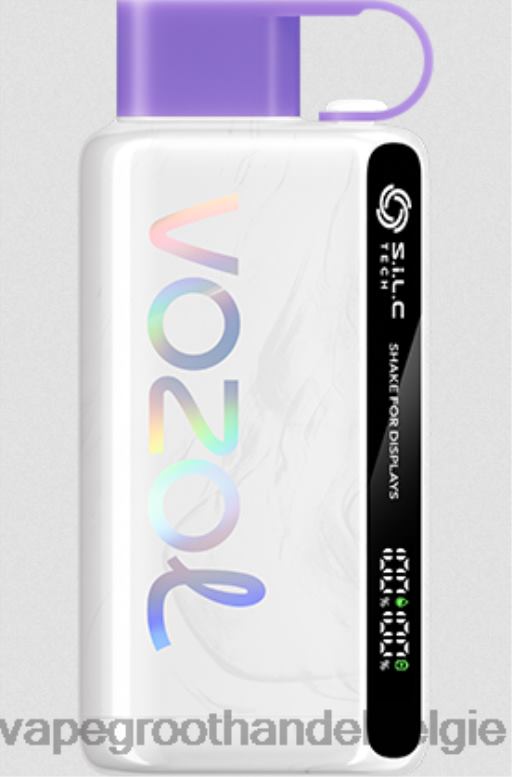 druiven ijs - vape groothandel 0284V13 VOZOL STAR 9000/12000 5%